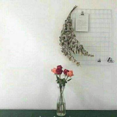 永恒天际手游下载